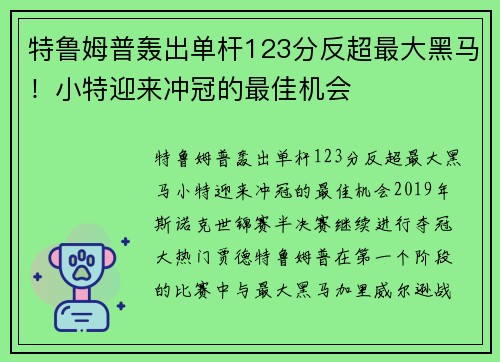特鲁姆普轰出单杆123分反超最大黑马！小特迎来冲冠的最佳机会